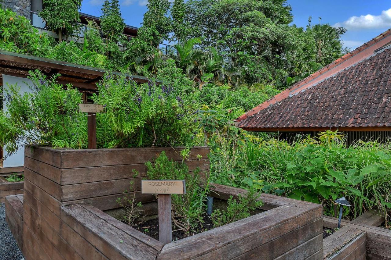 Bisma Eight Villas Ubud  Exterior photo